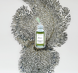 AURORA - Superfood Elixir - Hemp Seed & Sea Greens (6965125349555)