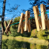 Birch Tree Clothes Pegs (6921868574899)