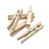 Birch Tree Clothes Pegs (6921868574899)