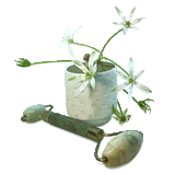 Facial Roller - Jade (6690844311731)