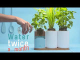 Lilo Connect - Connected Garden at your fingertips