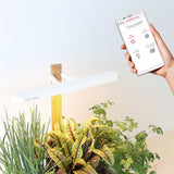 Lilo Connect - Connected Garden at your fingertips (6140662743219)