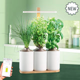 Lilo Connect - Connected Garden at your fingertips (6140662743219)