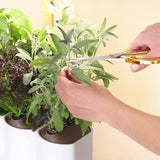 Lilo Connect - Connected Garden at your fingertips (6140662743219)